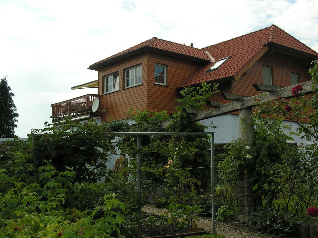 Mayerhofer House Linz Exterior photo
